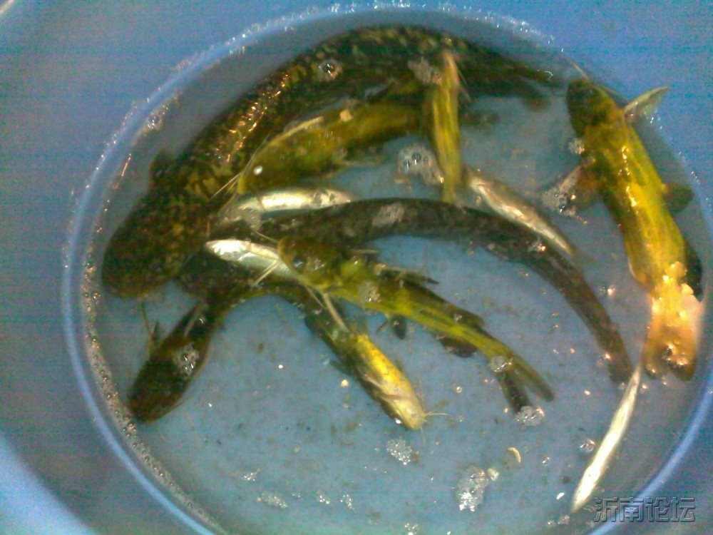 20120501259.jpg