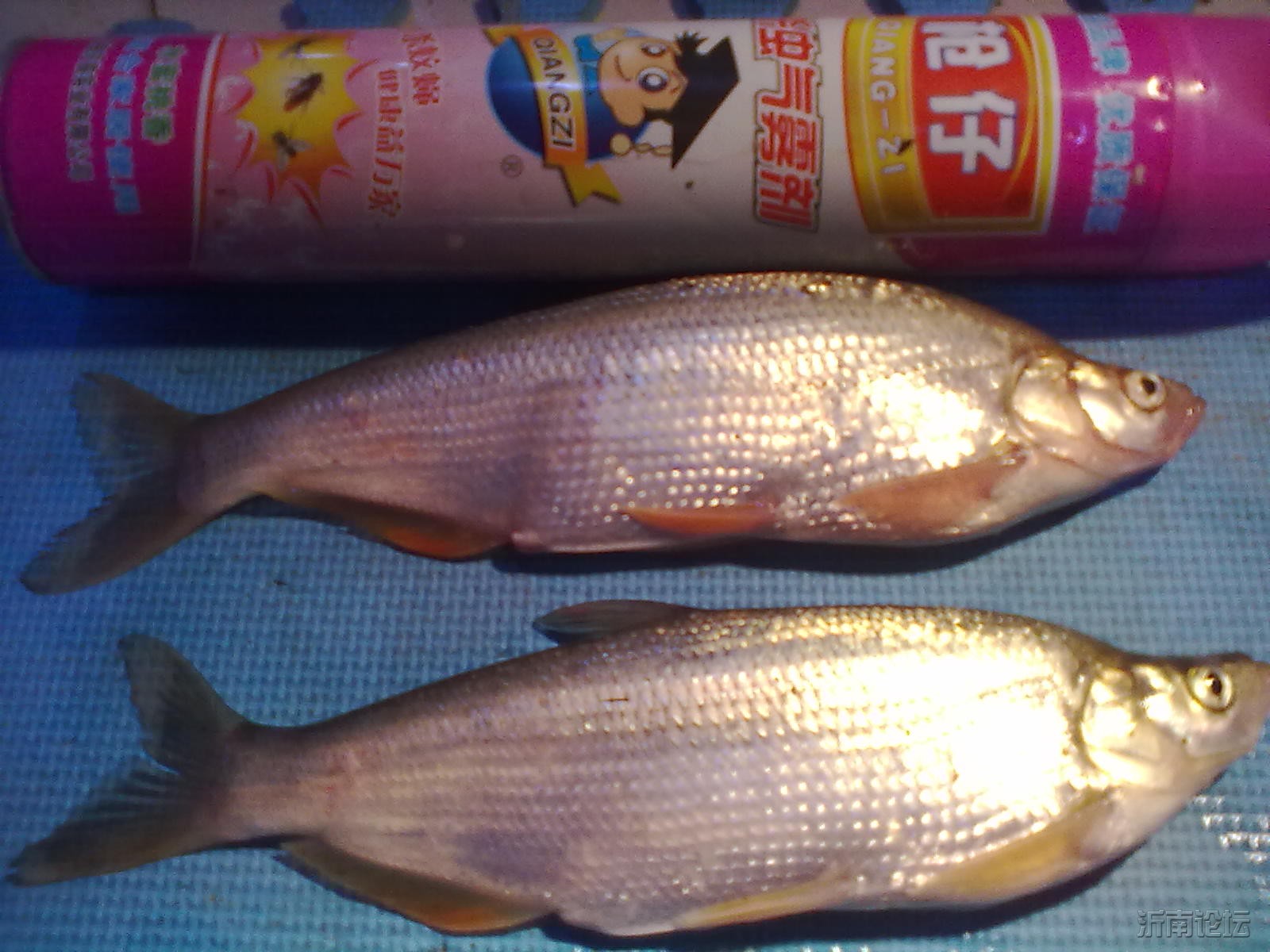 20120818458.jpg