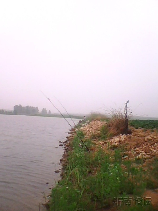 IMG1222A.jpg